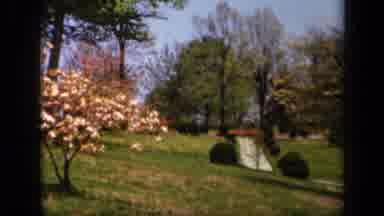Skyline Drive Virginia USA (1943): A View Of Fall Colors On The Leaves In The