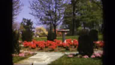 Skyline Drive Virginia USA (1943): Vintage Film Clip Of A Colorful Garden With A