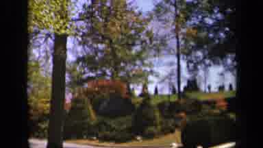 Skyline Drive Virginia USA (1943): Beautiful Land Filled With Many Trees One Can