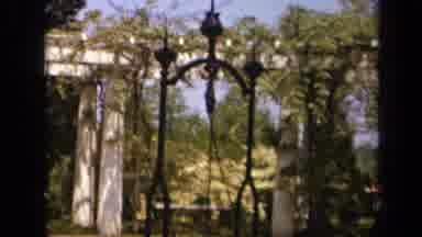 Skyline Drive Virginia USA (1943): Man Walking In Flower Garden Flowers Hanging