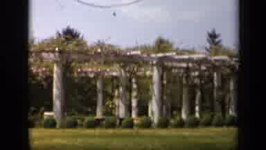 Skyline Drive Virginia USA (1943): Beautiful Flowers And Scenery In Outdoor