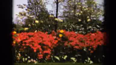 Skyline Drive Virginia USA (1943): Take A Lovely Walk In My Follow Garden This