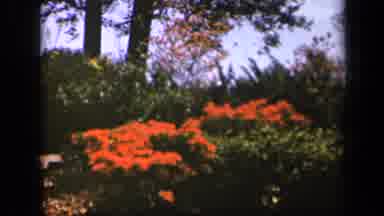 Skyline Drive Virginia USA (1943): Lightening Glows Up The Rainy Sky