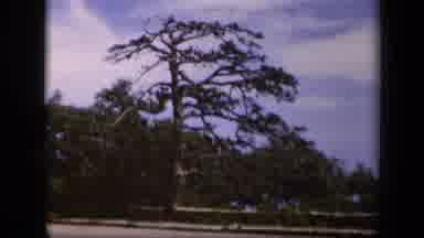Skyline Drive Virginia USA (1943): Woman Laying Down Enjoying Nature In The