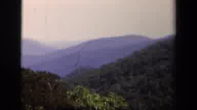 Skyline Drive Virginia USA (1943): Beautiful Scenery Of A Forest