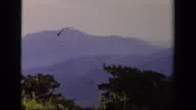 Skyline Drive Virginia USA (1943): Vintage Film Of 2 Men Sitting In Chairs