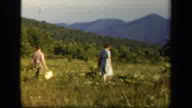 Skyline Drive Virginia USA-1943: Two People Walking Through A Field Of Flowers