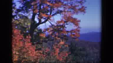 Skyline Drive Virginia USA (1943): Fall Day Wind Blowing Mountain Area Autumn