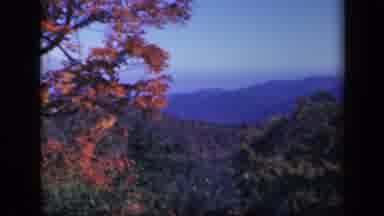 Skyline Drive Virginia USA (1943): Hills Valley's Trees
