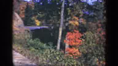 Skyline Drive Virginia USA (1943): Autumn Colors Abound On This Forest Road