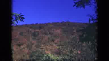 Skyline Drive Virginia USA (1943): Windy Fall Day And The Leaves Are Turning Brown
