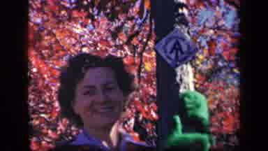 Skyline Drive Virginia USA (1943): Woman With Nice Smile Hugs A Tree With Her