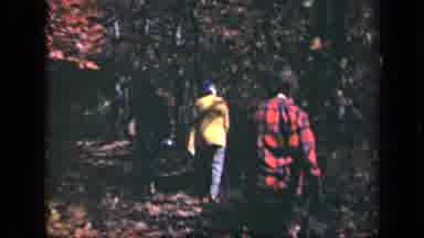 Skyline Drive Virginia USA (1943): Three People Hiking Through Autumn Woods In