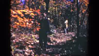 Skyline Drive Virginia USA (1943): Causal Hike In Autumn Through Beautiful