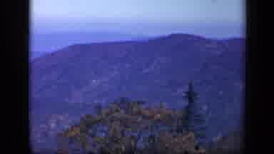 Skyline Drive Virginia USA (1943): Mountain View Trees In Park In Winter