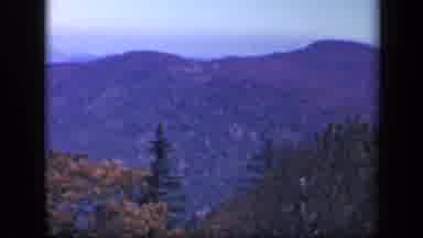 Skyline Drive Virginia USA (1943): Autumn Colored Trees In Front Of Mountain