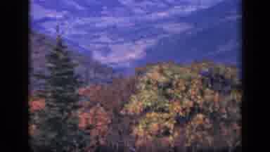 Skyline Drive Virginia USA (1943): Scenic View Overlooking Mountain Range And Some