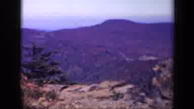 Skyline Drive Virginia USA (1943): Wildlife Family Innocence Nature