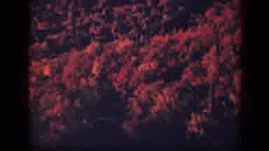 Skyline Drive Virginia USA (1943): Grainy Old Video Of A Flyby Over A Forest In