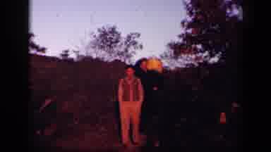 Skyline Drive Virginia USA (1943): The Harvest Finds Men Picking Ripe Fruits Under