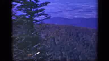 Skyline Drive Virginia USA (1943): Two Women And Child Stand And Looks Out To Take