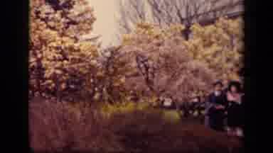 Washington DC USA (1943): Asian Women Wearing Traditional Clothing Walking On Path