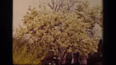Washington DC USA (1943): A Secret Outdoor Wedding