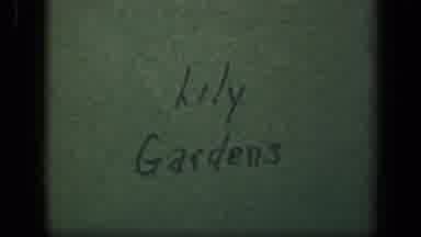 Washington DC USA (1943): Lily Gardens White Water Yellow Petals Floating Lily