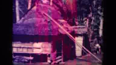 Leyte Gulf Philippines (1944): Old Video Of Man Walking Past A Hut Carrying Wood