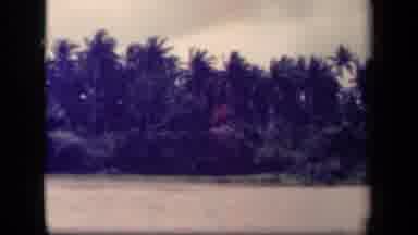 Leyte Gulf Philippines (1944): Vintage Footage Of Palm Trees Along The Beach