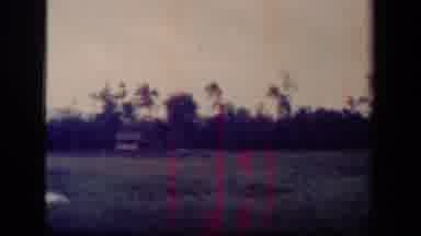 Leyte Gulf Philippines (1944): A View Of A Dark Grassy Wooded Wilderness