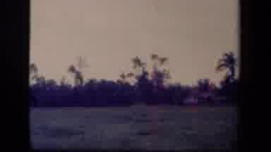 Leyte Gulf Philippines (1944): Jungle In The Philippines