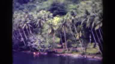 Papua New Guinea (1944): Camera Pans Across The Tree Line Of Palm Trees And Shows