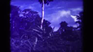 Papua New Guinea (1944): Once Upon A Time There Was A Man In A Jungle