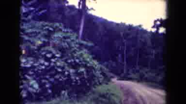 Papua New Guinea (1944): Rough Roads Trees Forest Unpaved Uninhibited Dirt Roads