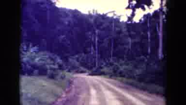 Papua New Guinea (1944): Riding On A Dirt Road In The Middle Of The Forest During