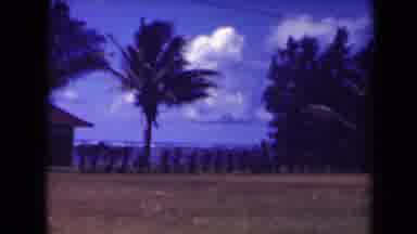 Kauai Hawaii USA (1944): There Are 7 Kids Posing For The Picture On The Beach
