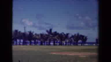 Kauai Hawaii USA (1944): Slow Montage Of Palm Trees In The Background With The