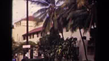 Kauai Hawaii USA (1944): Video Of The Beautiful Trees