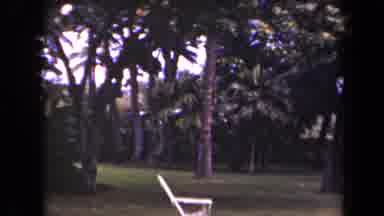 Kauai Hawaii USA (1944): Flower Palm Tree Chair Grass Outdoor Vacation Honeysuckle