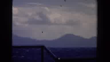Netherlands (1946): Seagulls Flying Over The Water Filmed From A Boat