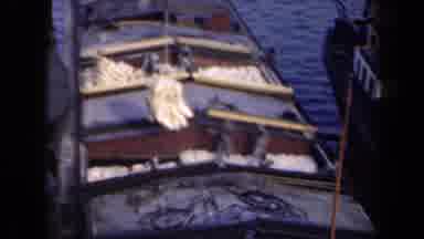 Netherlands (1946): People Putting Goods On Boat