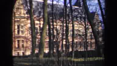 Netherlands (1946): A Stand Of Trees Blocks Much Of The View Of A Very Large
