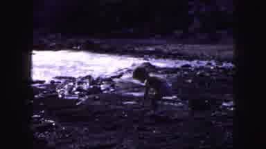 Kansas City Missouri (1959): Children Running On A Rocky Beach Inspecting Items
