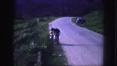 Kansas City Missouri (1959): Mother Checks On Two Young Children On The Side Of