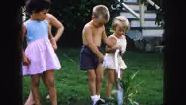 Kansas City Missouri (1959): Four Young Children Taking Turns Watering A Small