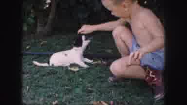 Kansas City Missouri (1959): Puppy Kids Playing In Grass Trees In Background