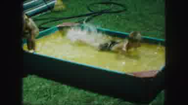 Kansas City Missouri (1959): Brother Sister Splash Pool