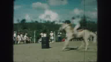 Kansas City Missouri (1959): People Riding Horses
