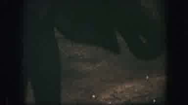 Kansas City Missouri (1959): Happy Elephant Looks For Snacks And Greets A Person